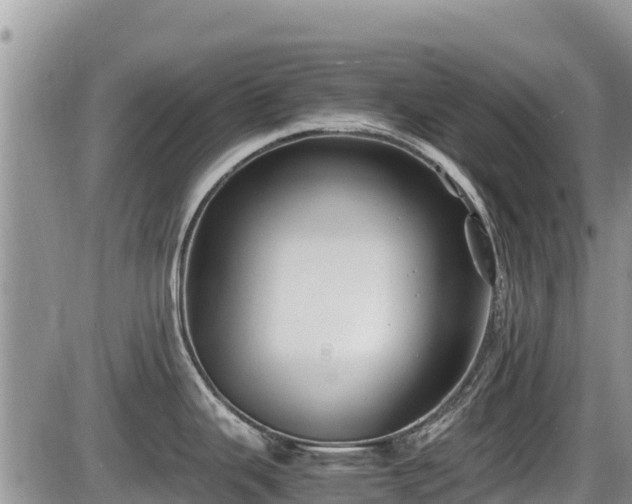 X0000085811343200703231326