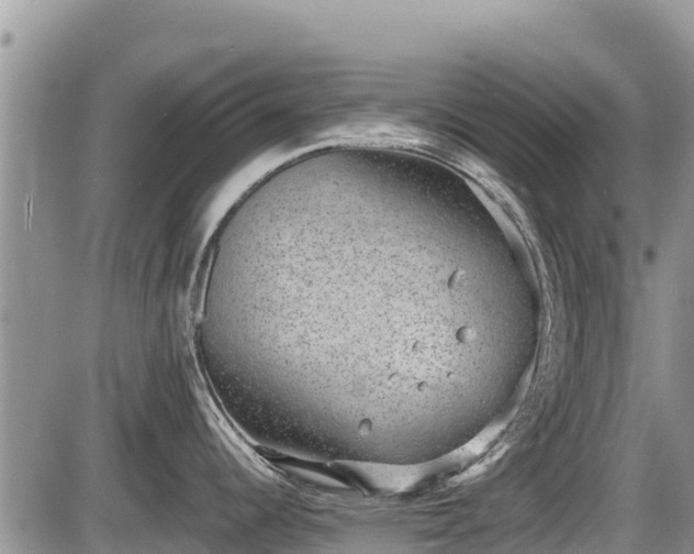 X0000085811344200703231326