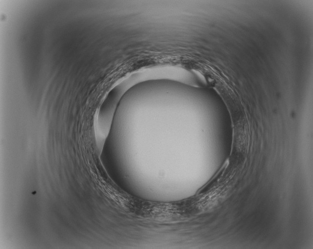 X0000085811345200703231325