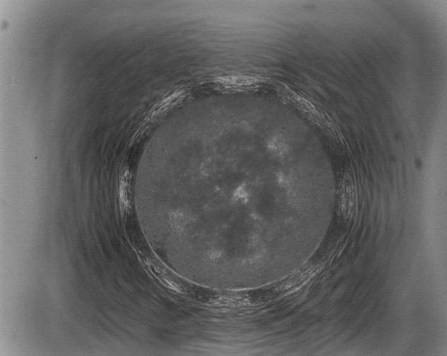 X0000085811346200703231325