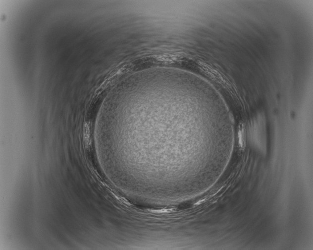 X0000085811347200703231325