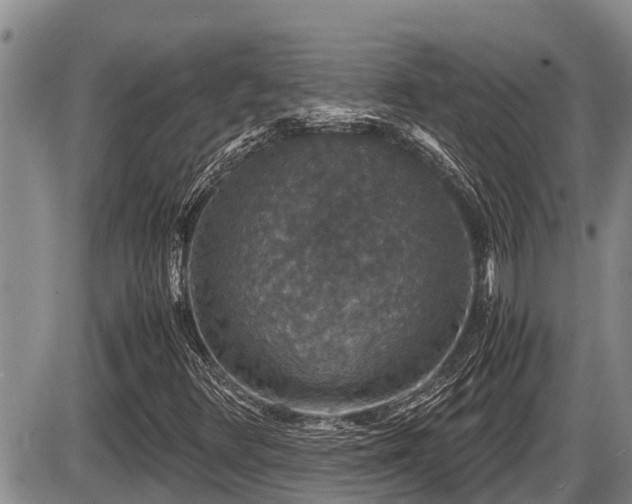 X0000085811348200703231325