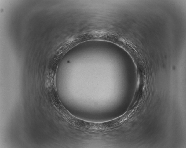 X0000085811349200703231325