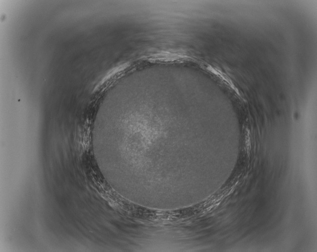 X0000085811350200703231325