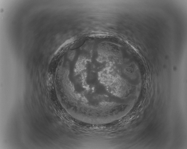 X0000085811351200703231325