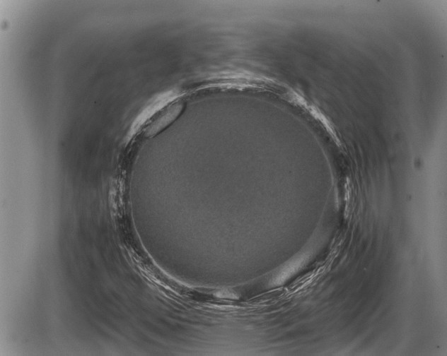 X0000085811352200703231325