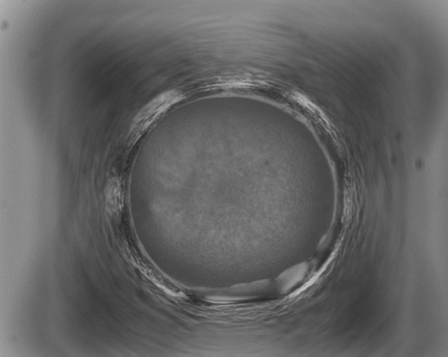 X0000085811353200703231325