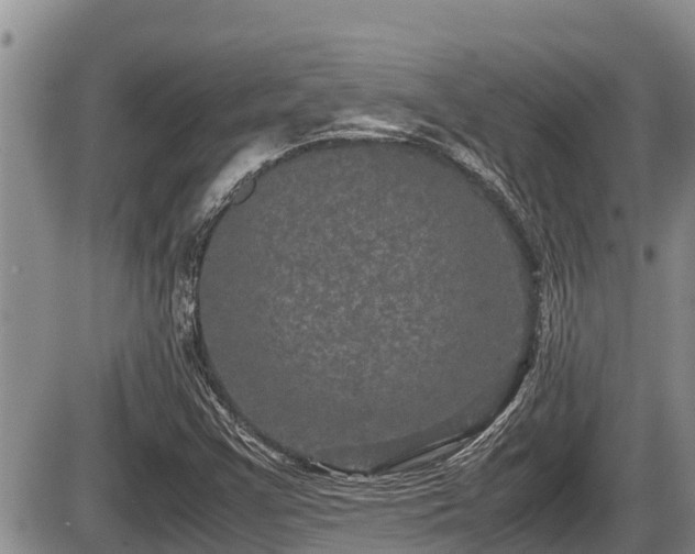 X0000085811355200703231325