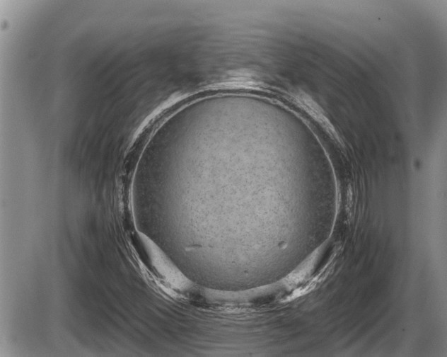 X0000085811356200703231325