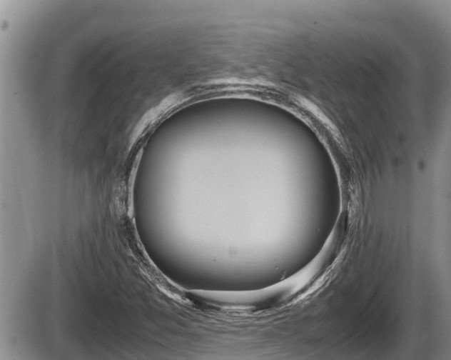 X0000085811357200703231325