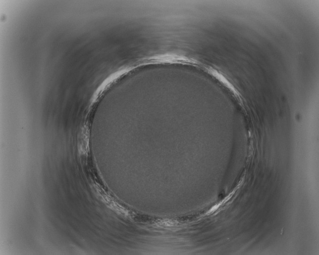 X0000085811358200703231325