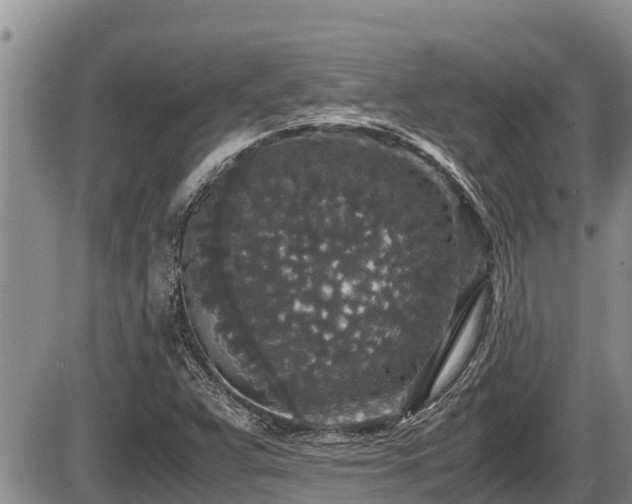 X0000085811359200703231325