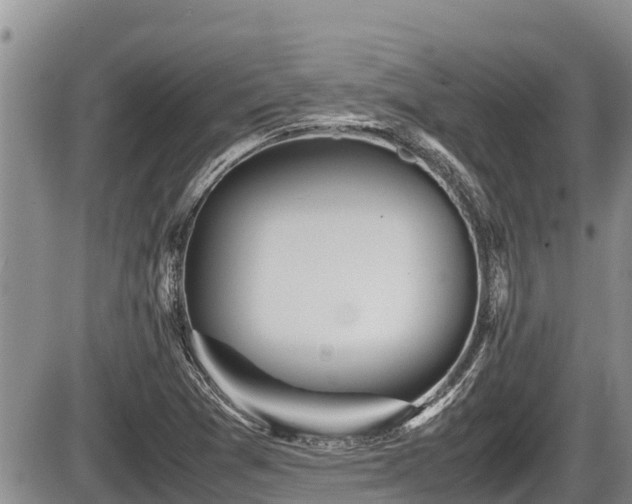 X0000085811361200703231325