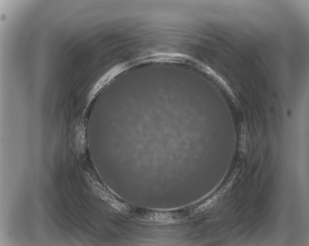 X0000085811362200703231325