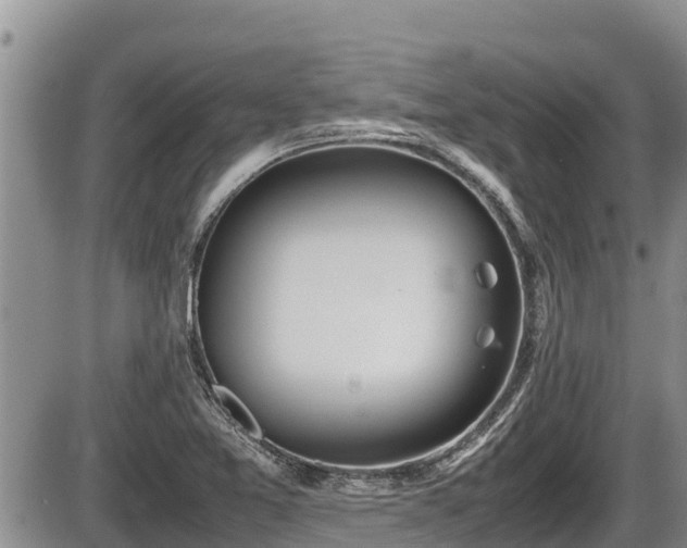 X0000085811365200703231325