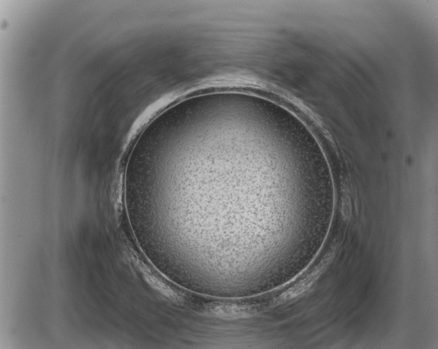 X0000085811366200703231325