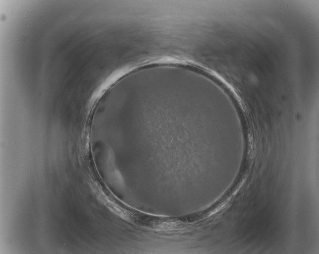 X0000085811367200703231325