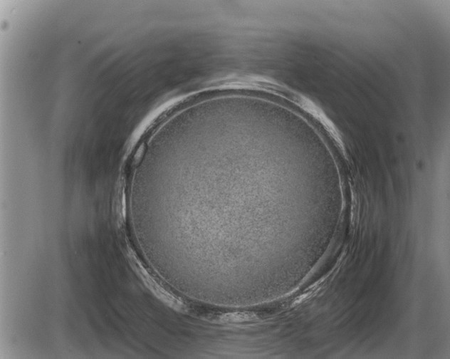 X0000085811368200703231325