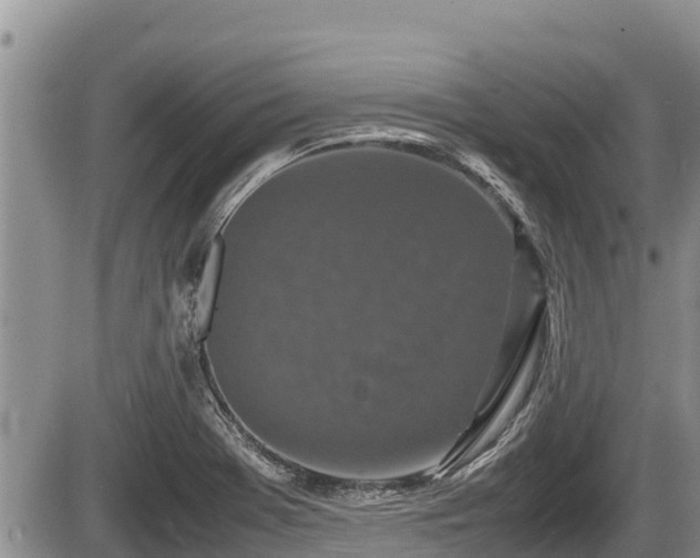 X0000085811369200703231325