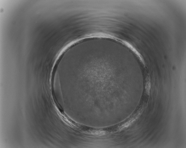 X0000085811372200703231325