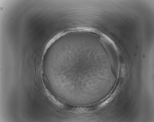 X0000085811373200703231325