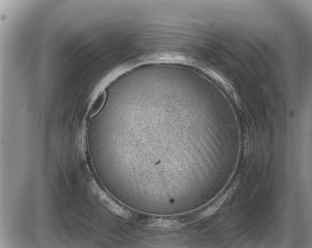 X0000085811374200703231325