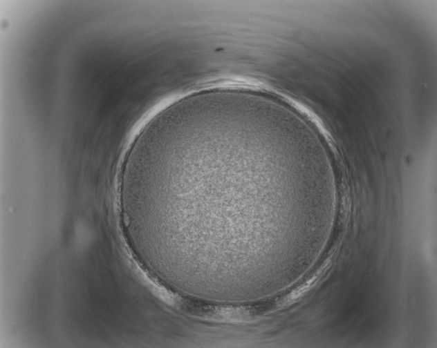 X0000085811375200703231325