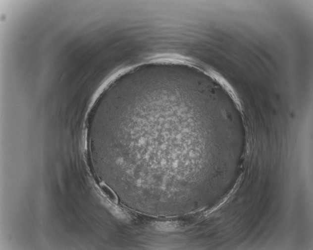 X0000085811376200703231324