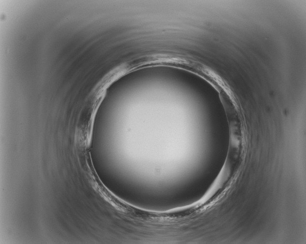 X0000085811377200703231324