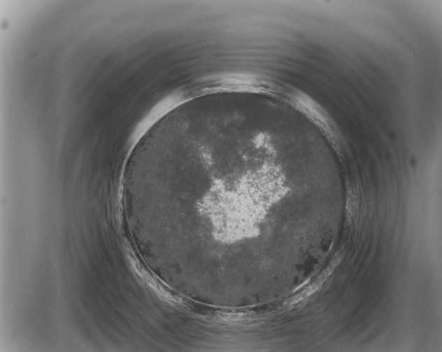 X0000085811378200703231324