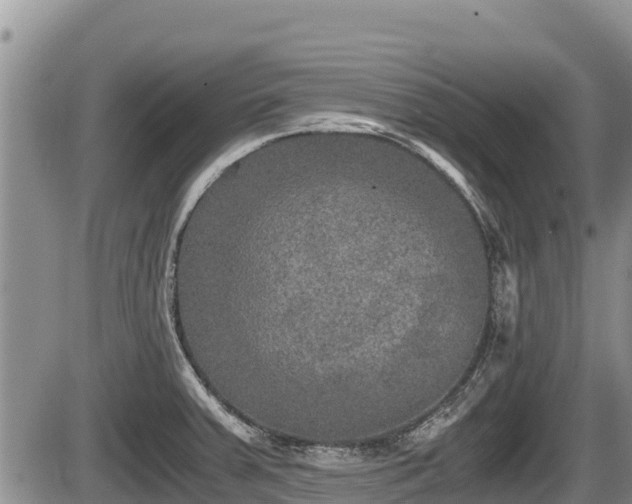 X0000085811379200703231324