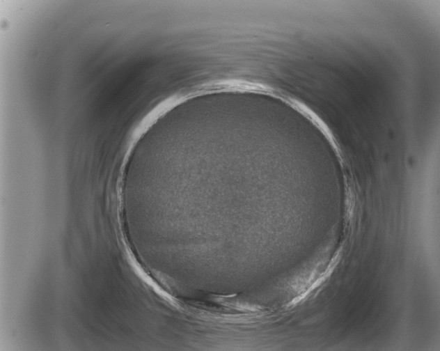 X0000085811381200703231324