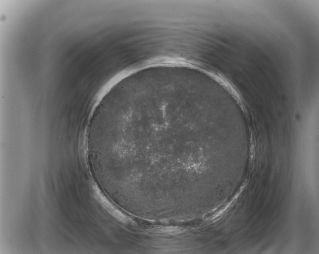 X0000085811382200703231324