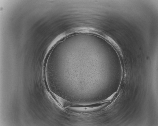 X0000085811384200703231324