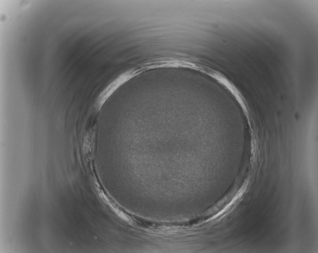 X0000085811385200703231324