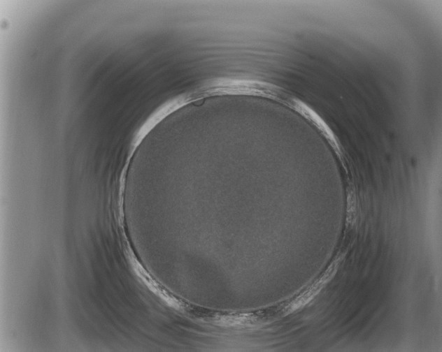 X0000085811386200703231324