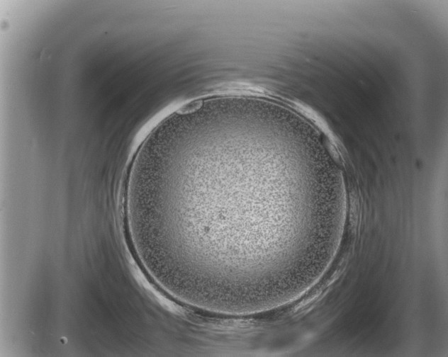 X0000085811387200703231324