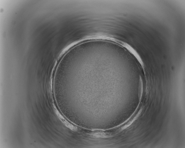 X0000085811388200703231324