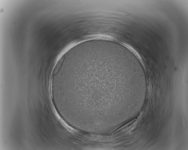 X0000085811391200703231324