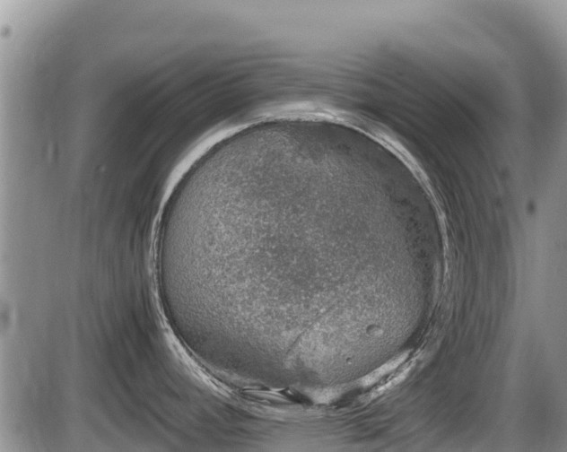 X0000085811392200703231324