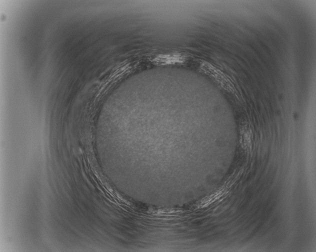 X0000085811393200703231323