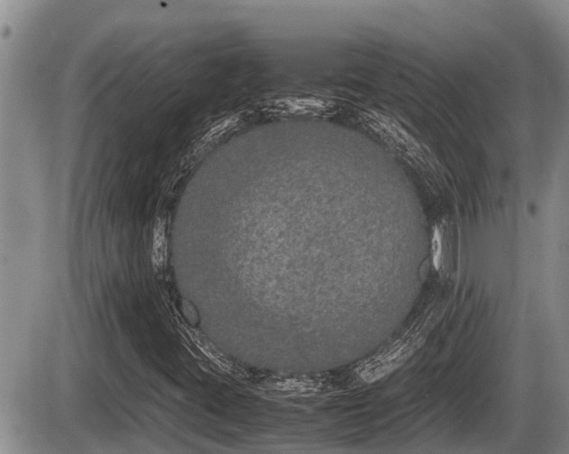 X0000085811395200703231323