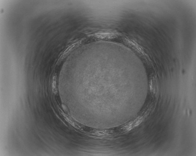 X0000085811396200703231323