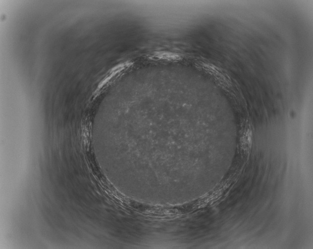 X0000085811397200703231323