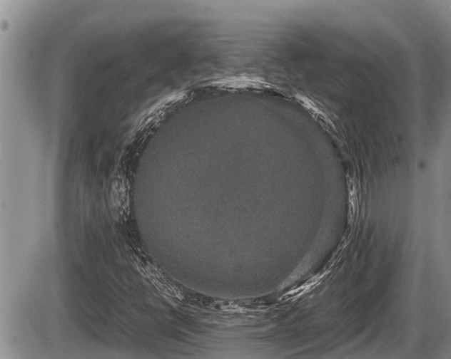 X0000085811398200703231323