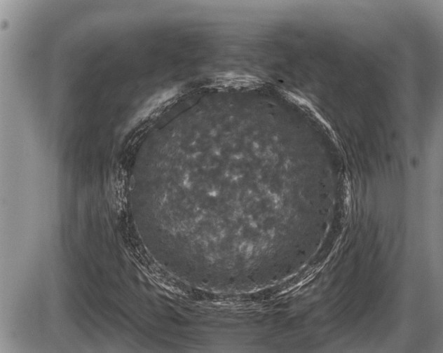 X0000085811399200703231324