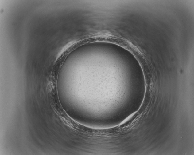 X0000085811400200703231324