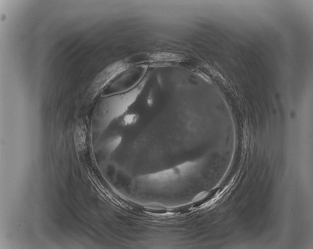 X0000085811401200703231324