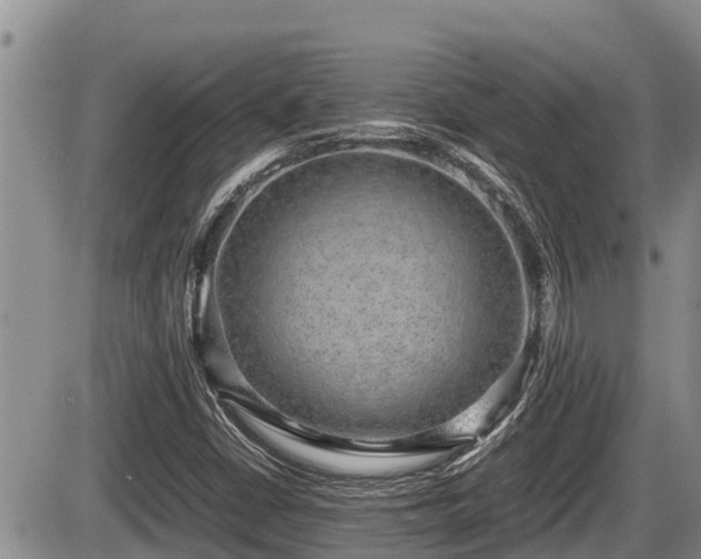 X0000085811402200703231324