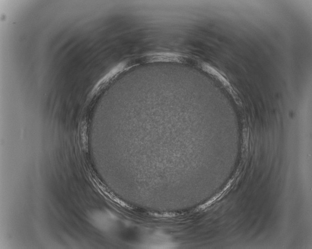 X0000085811403200703231324